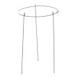 Panacea 89321GT 14  Wide x 24  Tall Single Ring Green Peony Hoop Plant Support - Quantity of 36 Sale