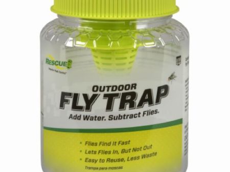 Rescue FTR-DT12 Reusable Ready To Use Non-Toxic Fly Trap - Quantity of 12 Online