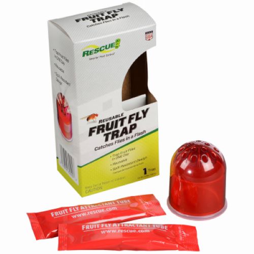 Rescue FFTR-BB4 Reusable Pesticide Free Fruit Fly Trap - Quantity of 12 Online