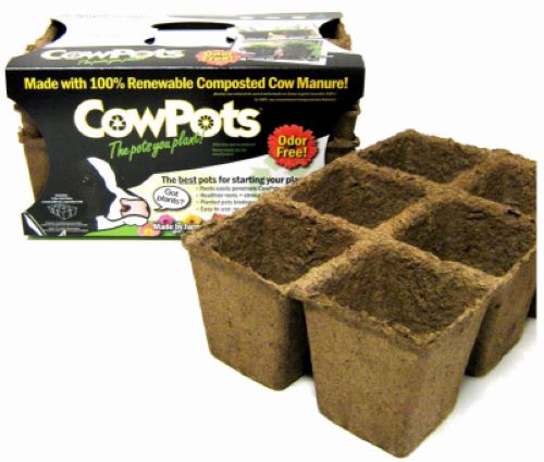 CowPots 00107 3-Pack 3  Seed Starting Tray Pots - Quantity of 15 Online now